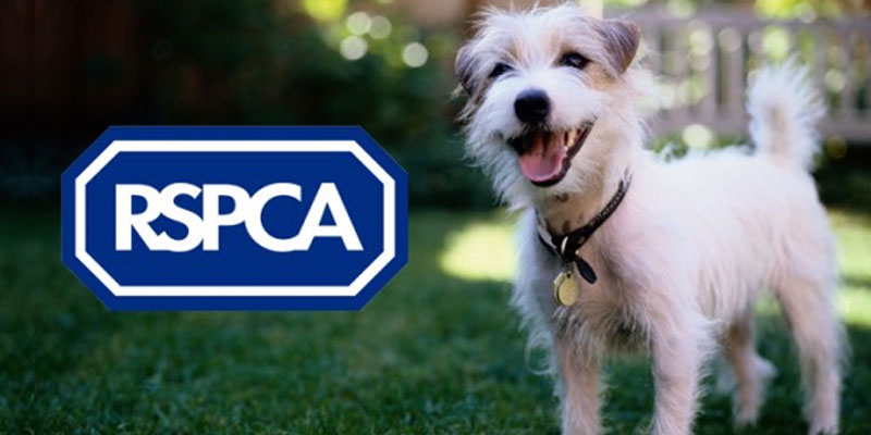 RSPCA