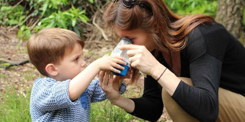Sussex Wildlife Trust