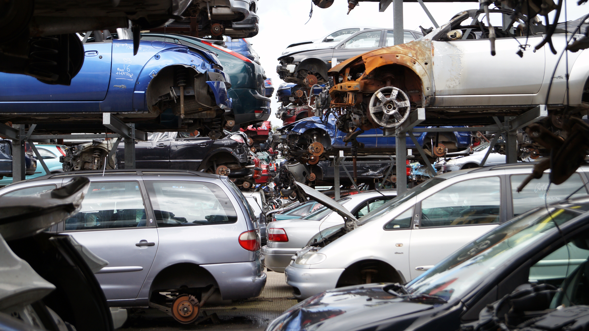 cash for cars Wellington