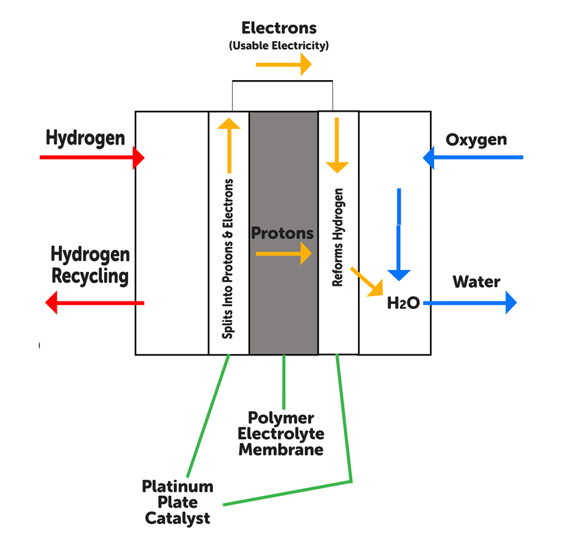 Hydrogen Car | Diagram of a Hydrogen Fuel Cell